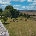Pelagaccio *