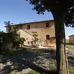 Pelagaccio *