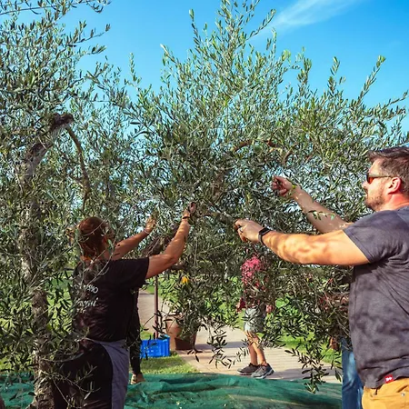 Pelagaccio Farm stay