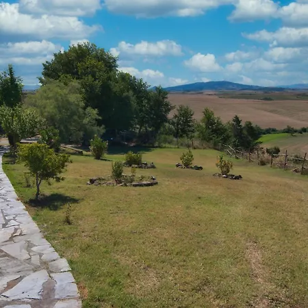 Pelagaccio *