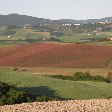 Pelagaccio * Peccioli