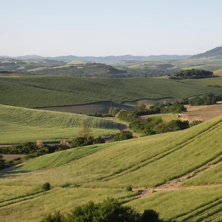 Pelagaccio Farma