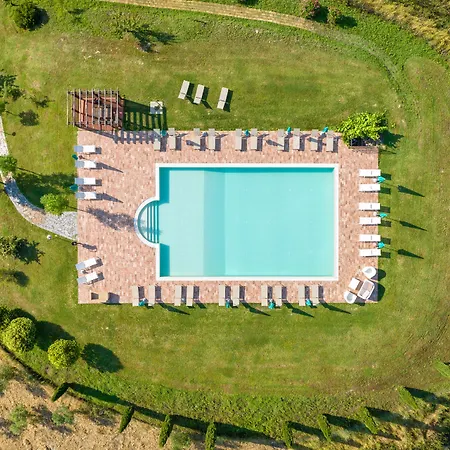 Pelagaccio *